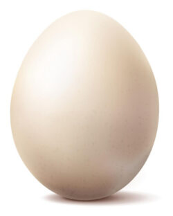 Eier/Eiernudeln